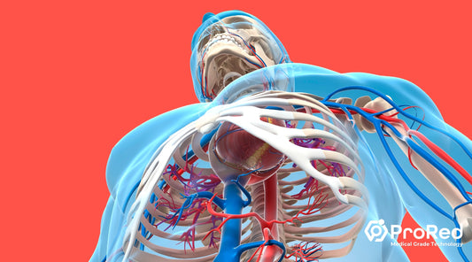 Red Light Therapy and Cardiovascular Health: Illuminating Heart Wellness