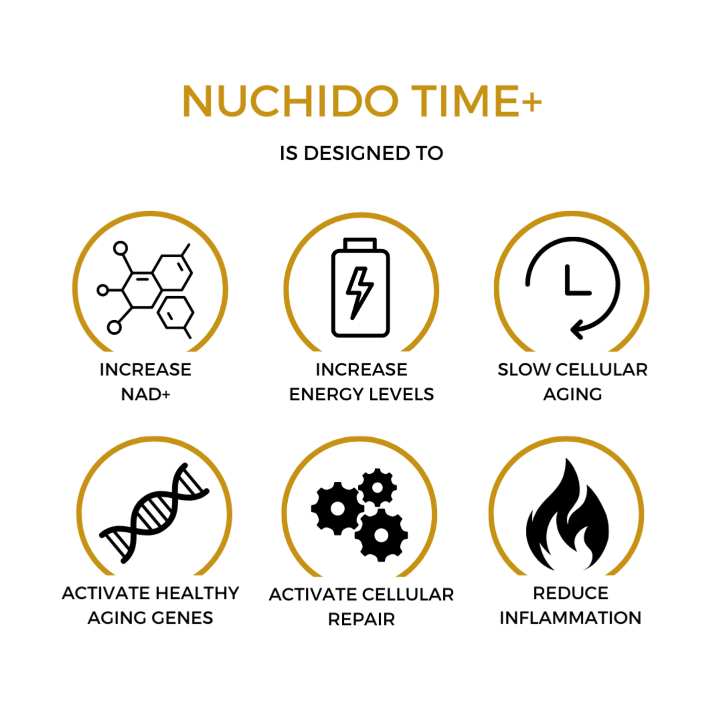 Nuchido Time+