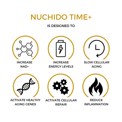 Nuchido Time+